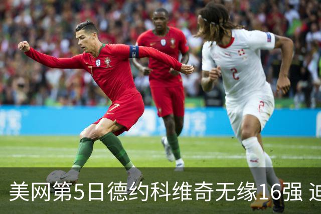 美网第5日德约科维奇无缘16强 迪米卢布列夫会师